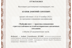 mindfullness-pulin-andrey-2023_1